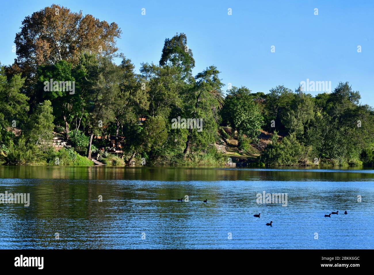 A view of the Nepean River at Penrith in Sydney's west Stock Photo