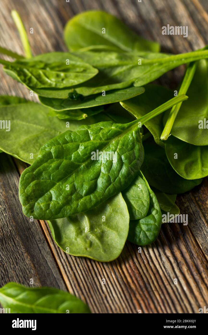Raw Organic Fresh Baby Spinach in a Bowl Stock Photo Alamy