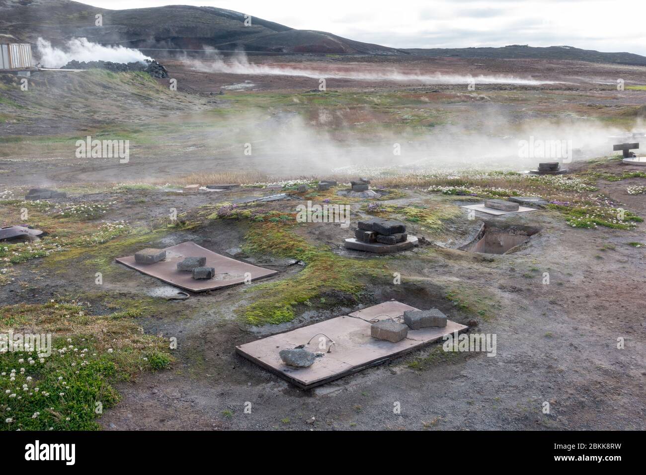 The Underground Bakery, steam bread (hverabrau or geysir bread) baked