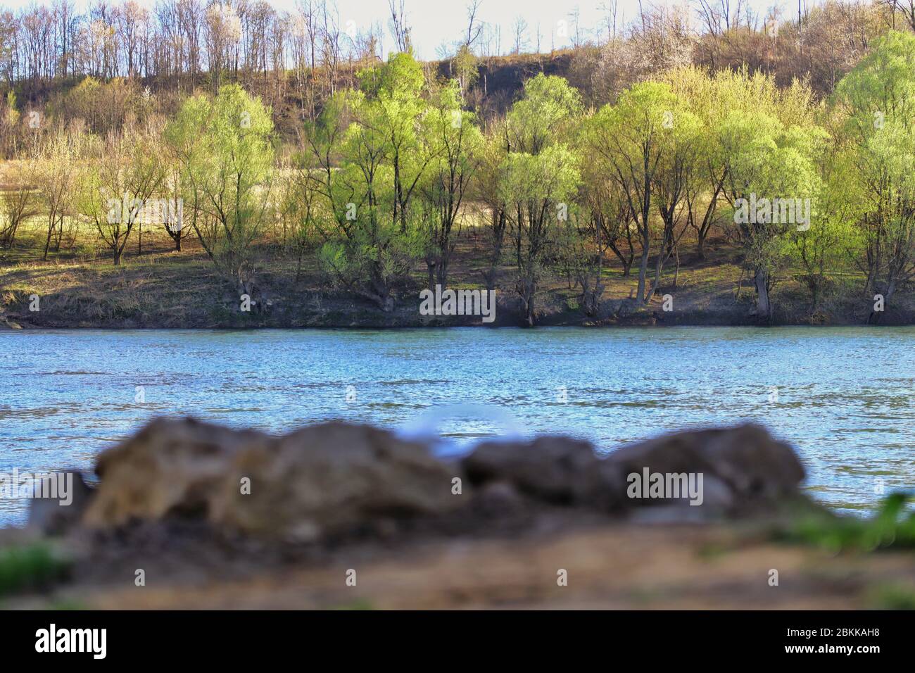 River in nature Stock Photo