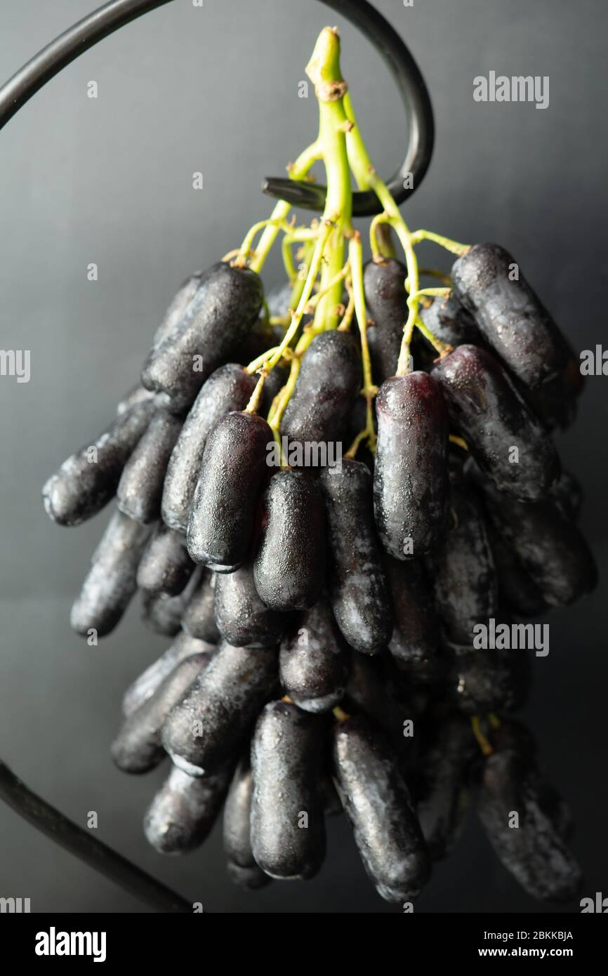 Sweet Saphire Grapes grown in California are a new exciting variety