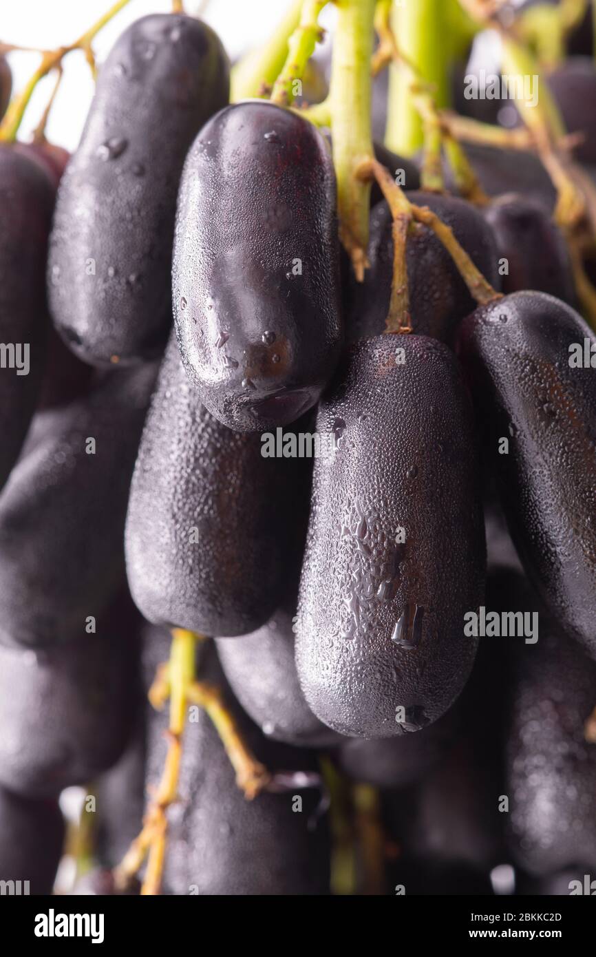 Sweet Saphire Grapes grown in California are a new exciting variety