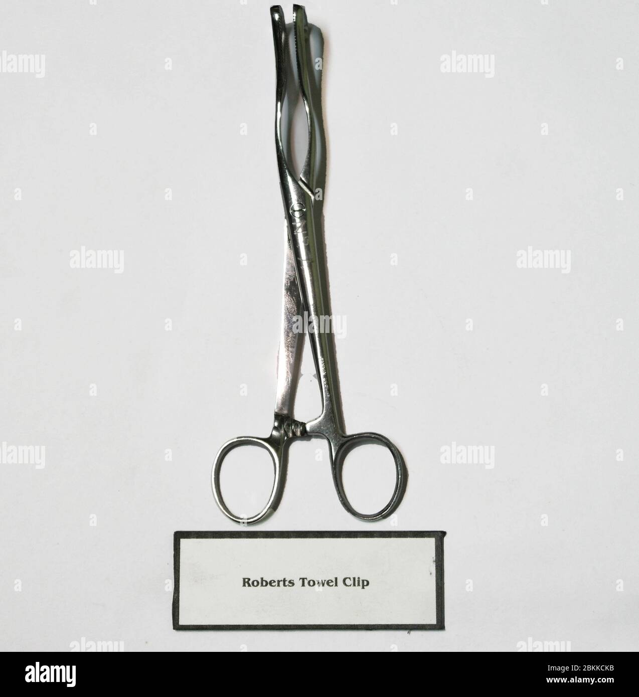 A vintage Roberts Towel Clip perforating clamp used for grasping tissue