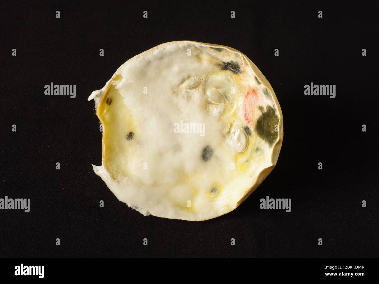 Top view of moldy rotten vegetable zucchini isolated on the black