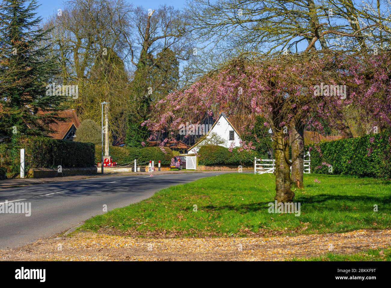 Park Lane in Knebworth Stock Photo Alamy
