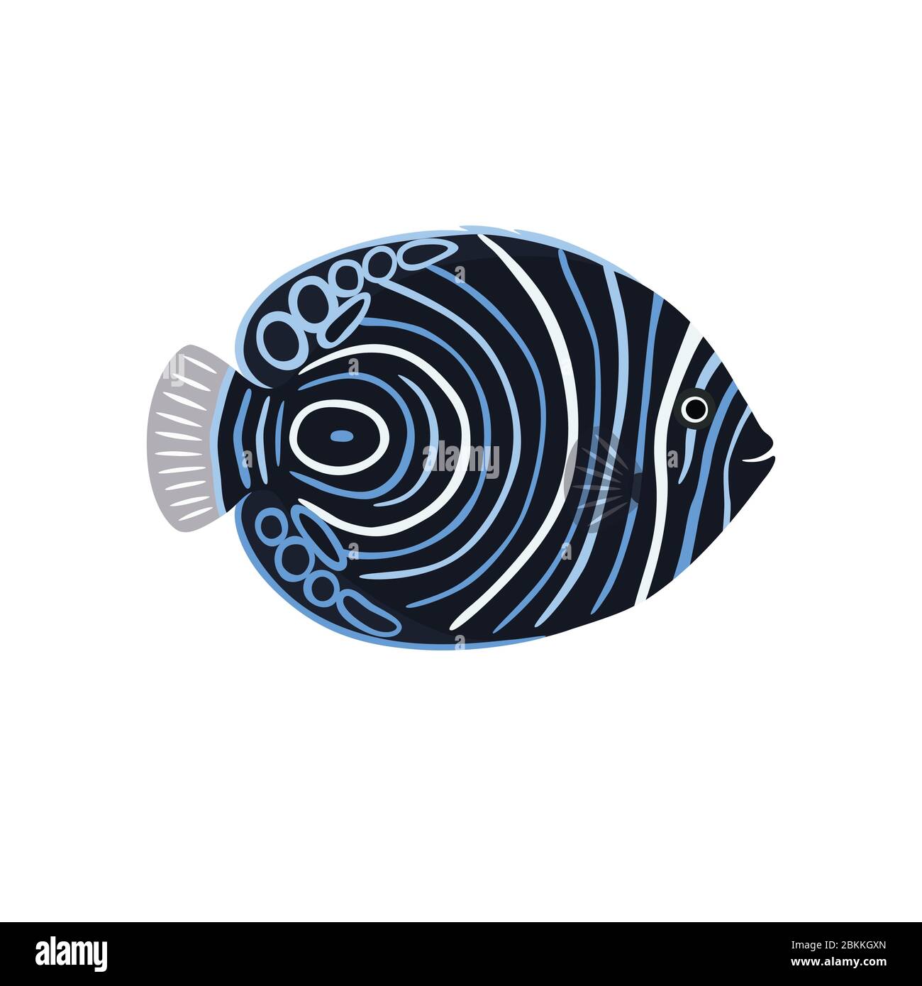 Fish is dark emperor angelfish vector illustration Stock Vector