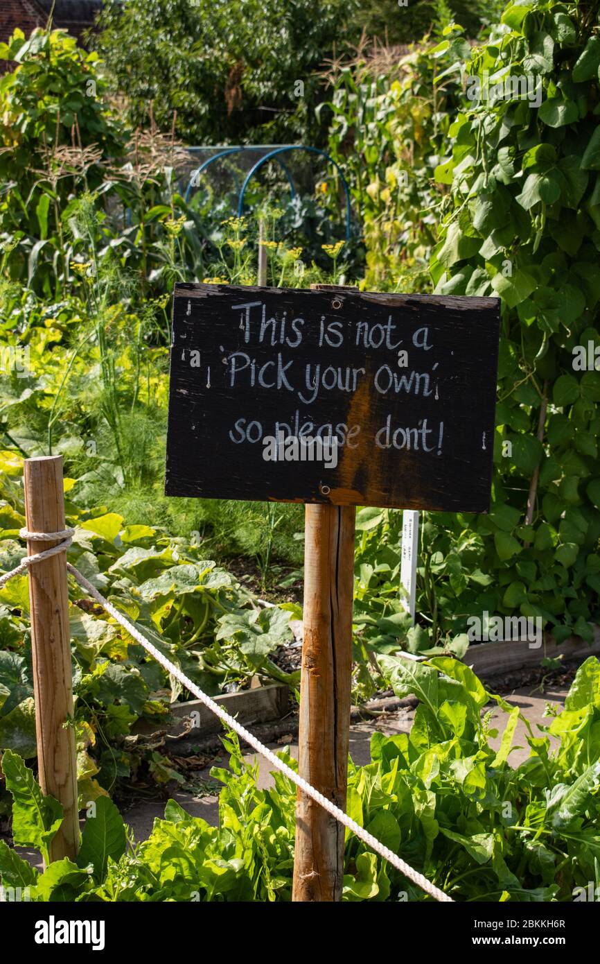 'Not a Pick Your Own' sign, Hall Place, Bexley, Kent Stock Photo