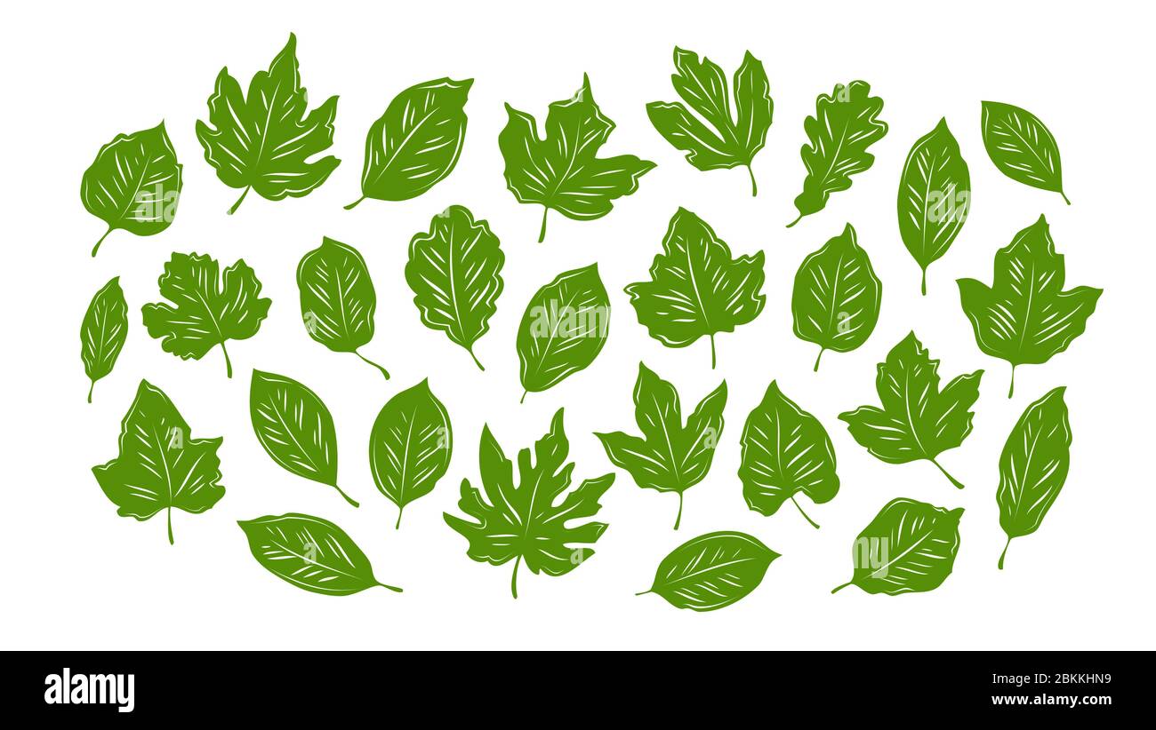 Leaves set. Nature, environment, ecology vector illustration Stock Vector