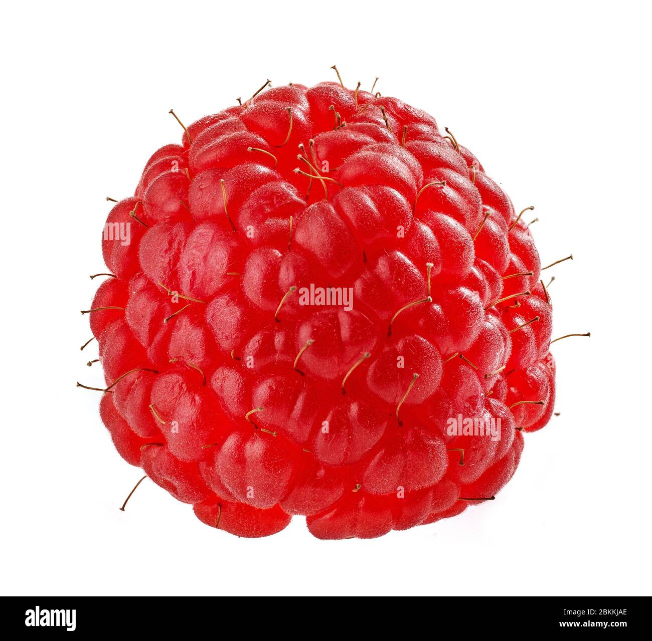 raspberry macro isolated on white background, full depth of field Stock Photo