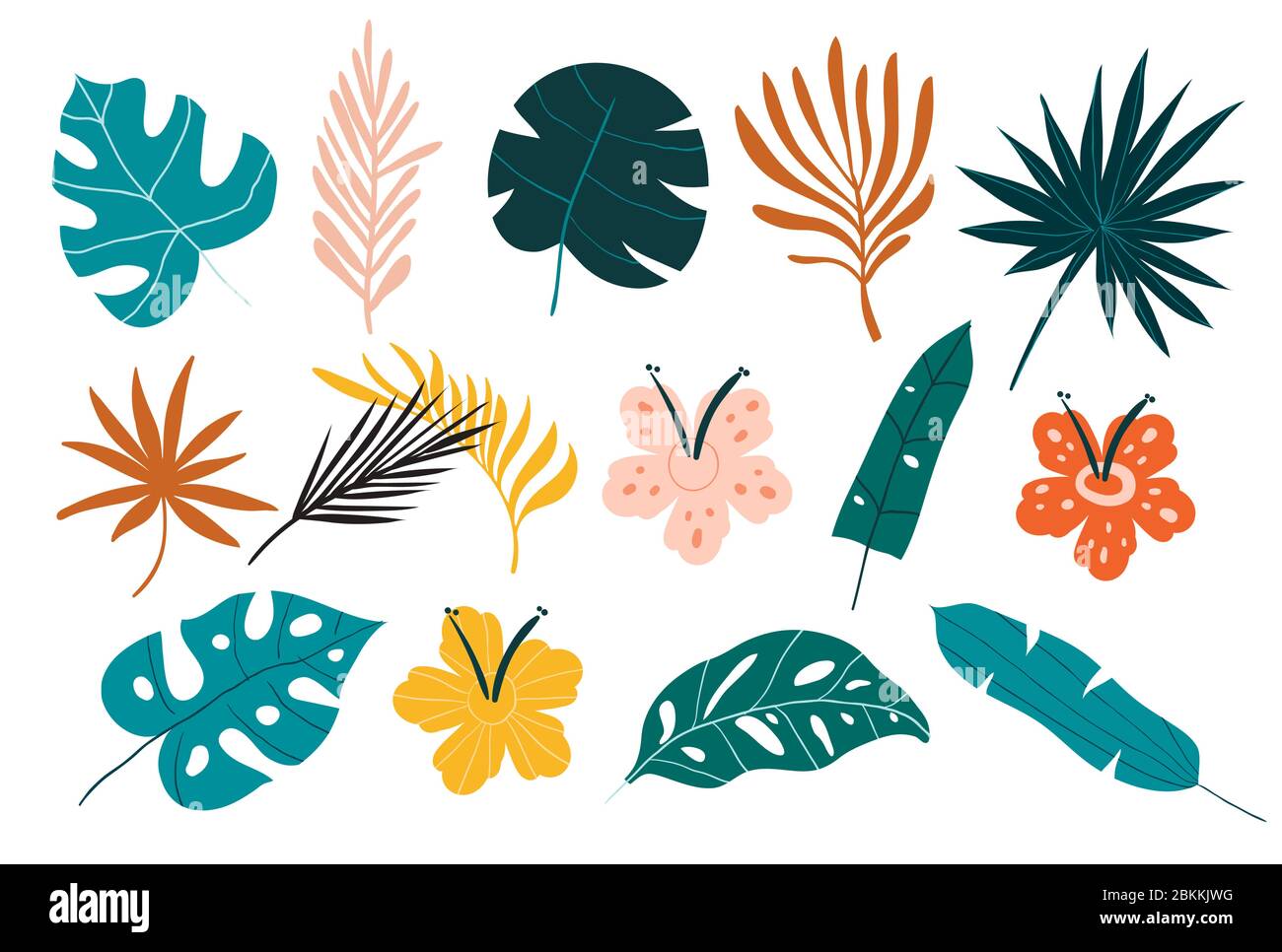 Vector set of tropical leaves Stock Vector Image & Art - Alamy