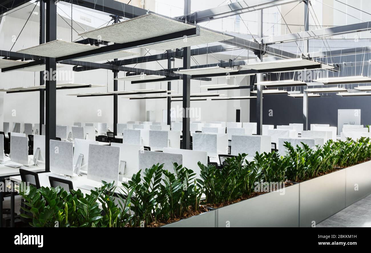 Modern office interior with green plants and computers Stock Photo