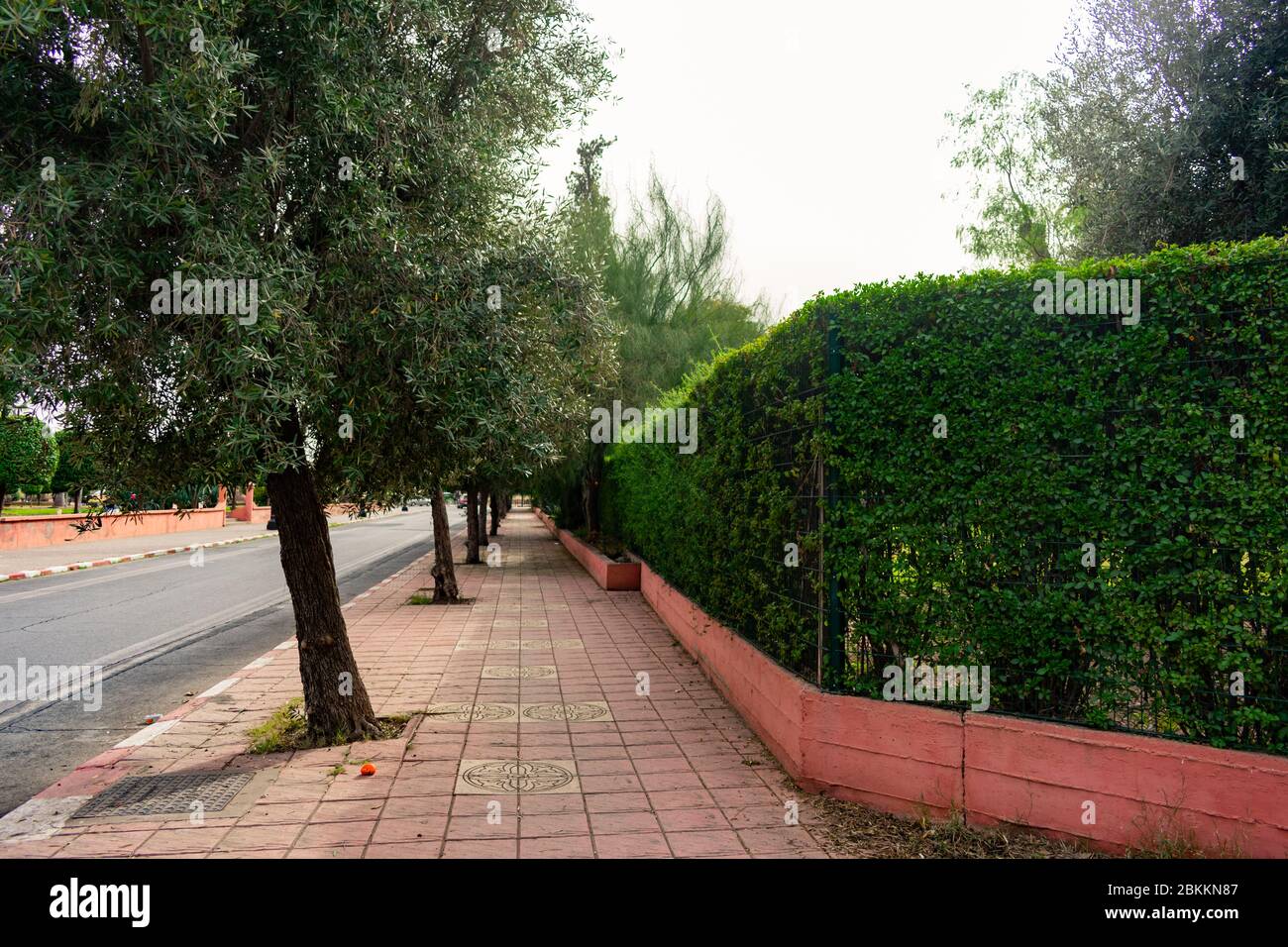 Sidewalk Lined with Green Trees and Shrubs beside a Street in Marrakesh Morocco Stock Photo