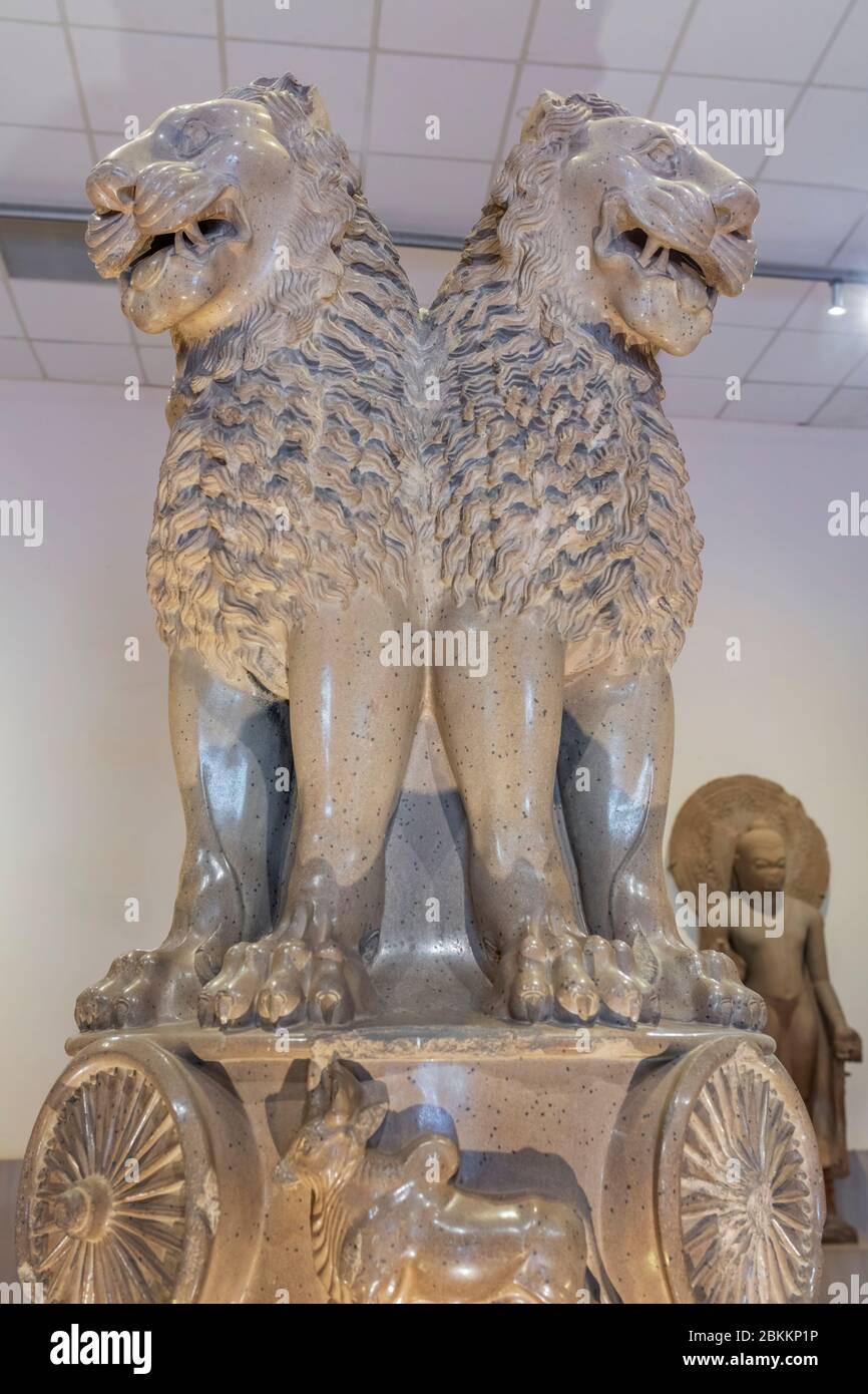 Lion Capital of Ashoka, 3rd century sculpture, Sarnath Museum, Sarnath, Uttar Pradesh, India Stock Photo