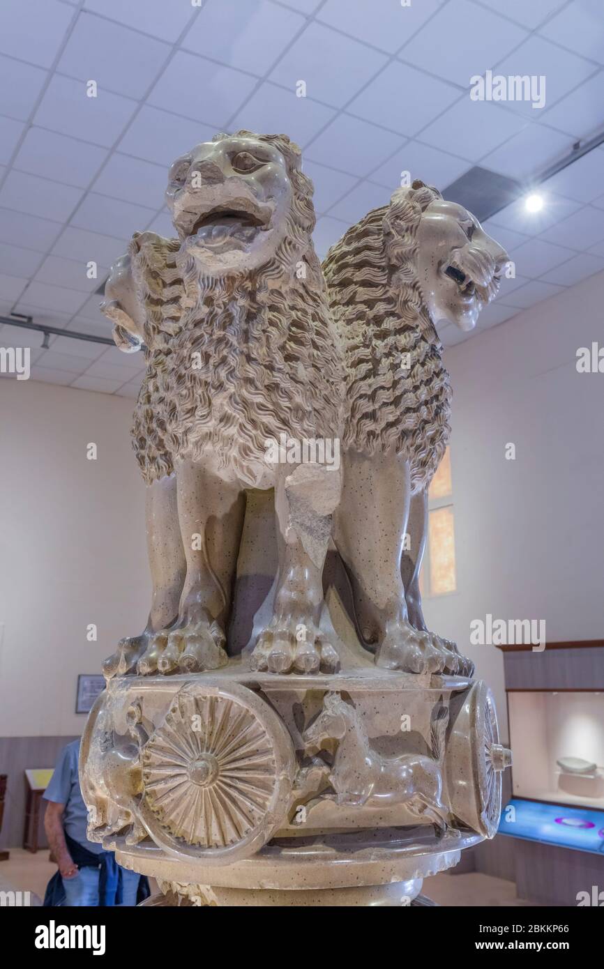 Lion Capital of Ashoka, 3rd century sculpture, Sarnath Museum, Sarnath, Uttar Pradesh, India Stock Photo