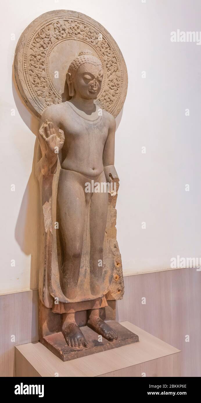 Buddha in Abhaya mudra, 5th century sculpture, Sarnath Museum, Sarnath,  Uttar Pradesh, India Stock Photo - Alamy