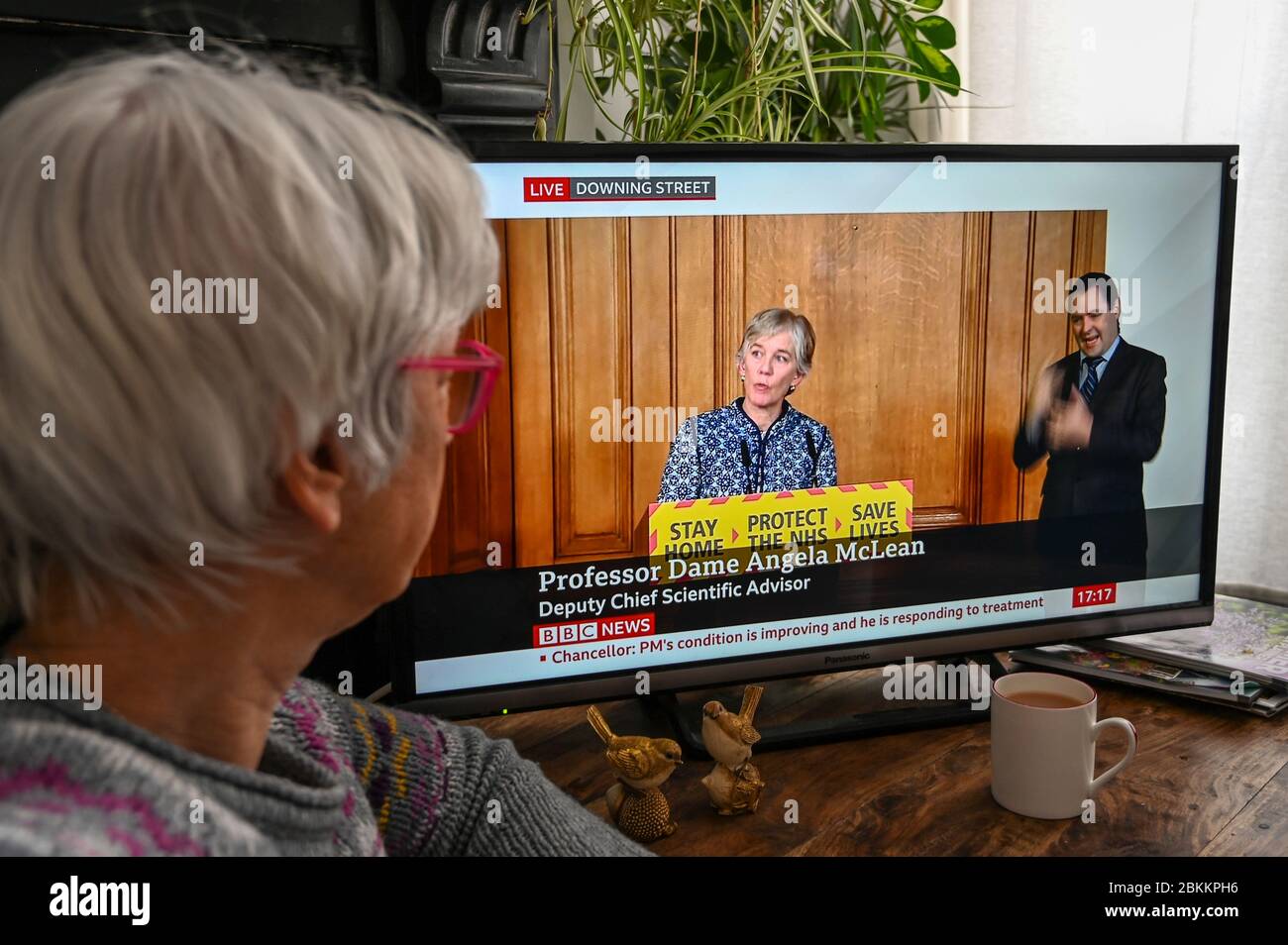 Dame Angela McClean, Deputy Chief Scientific Advisor at the UK governments daily press conference; being watched on television by a viewer. Stock Photo