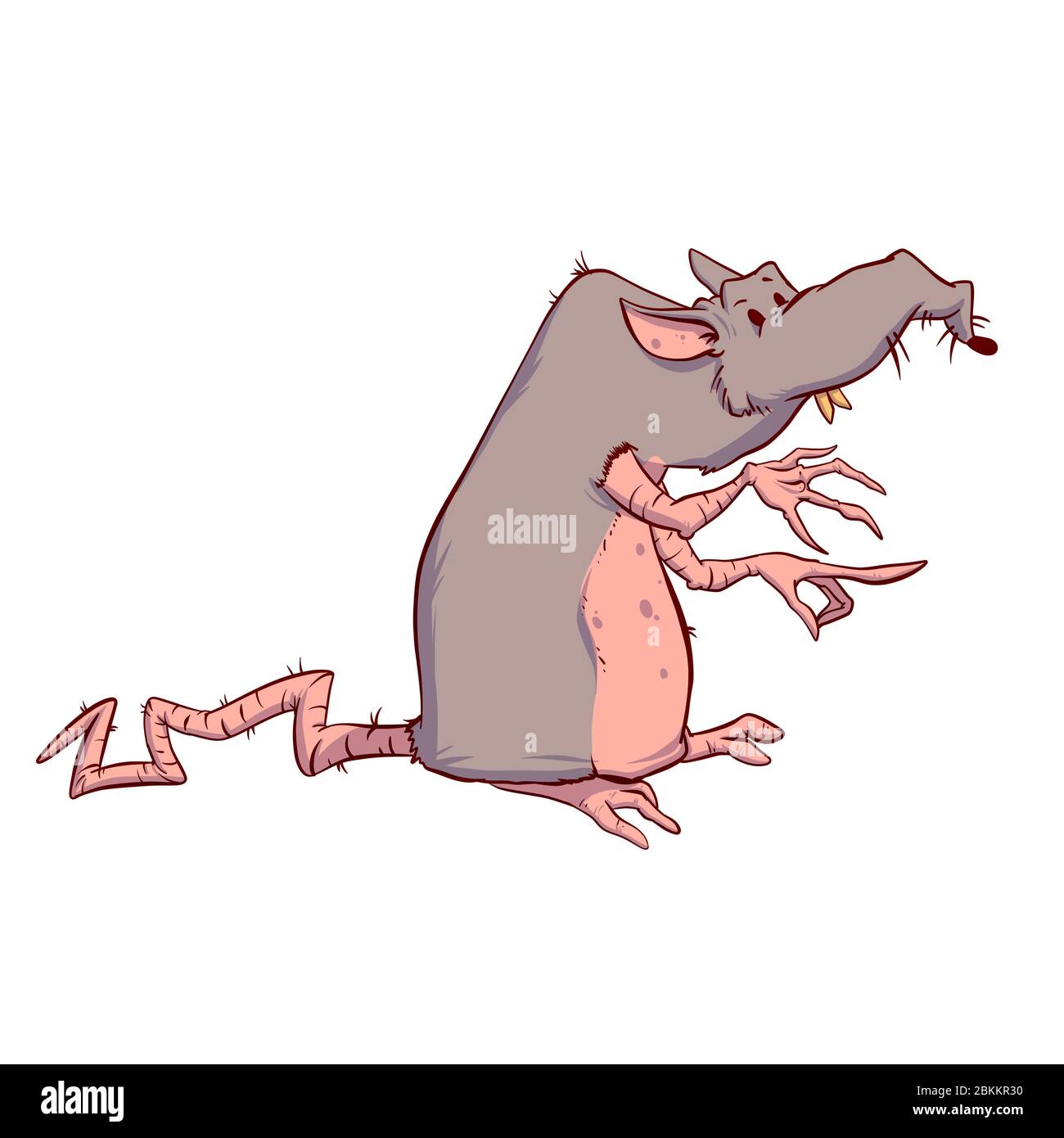 Colorful vector illustration of a big, fat, drity rat Stock Vector