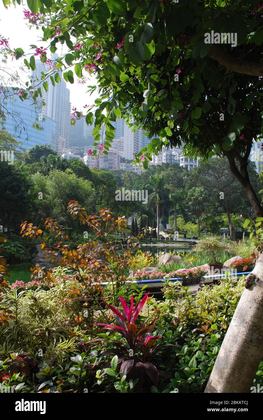 Hong kong green space hires stock photography and images Alamy