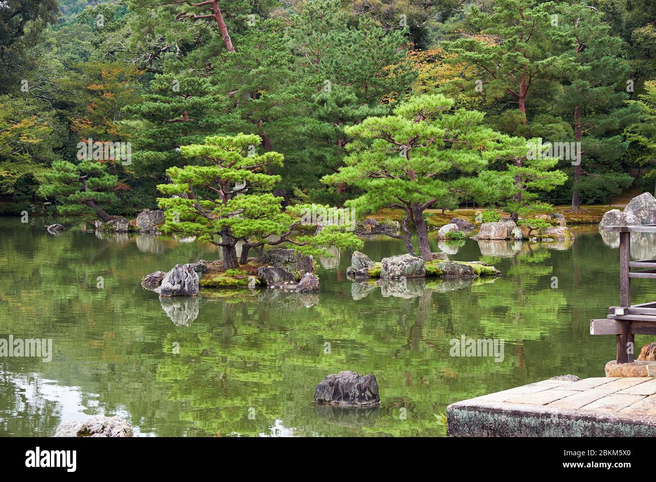The pine trees growing on the Tsuru-jima (crane island) and Kame-jima (turtle island) and reflecting in the water of the Kyoko-chi (Mirror) pond. Kink Stock Photo