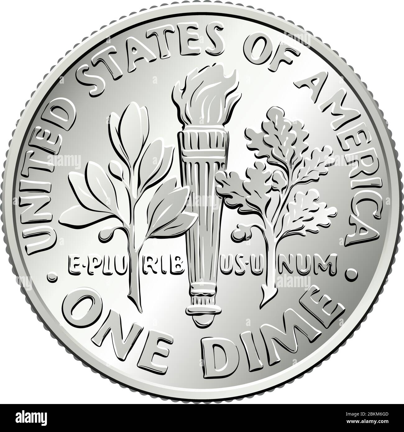 American money Roosevelt dime, United States one dime or 10-cent silver coin, olive branch, torch, oak branch on reverse Stock Vector