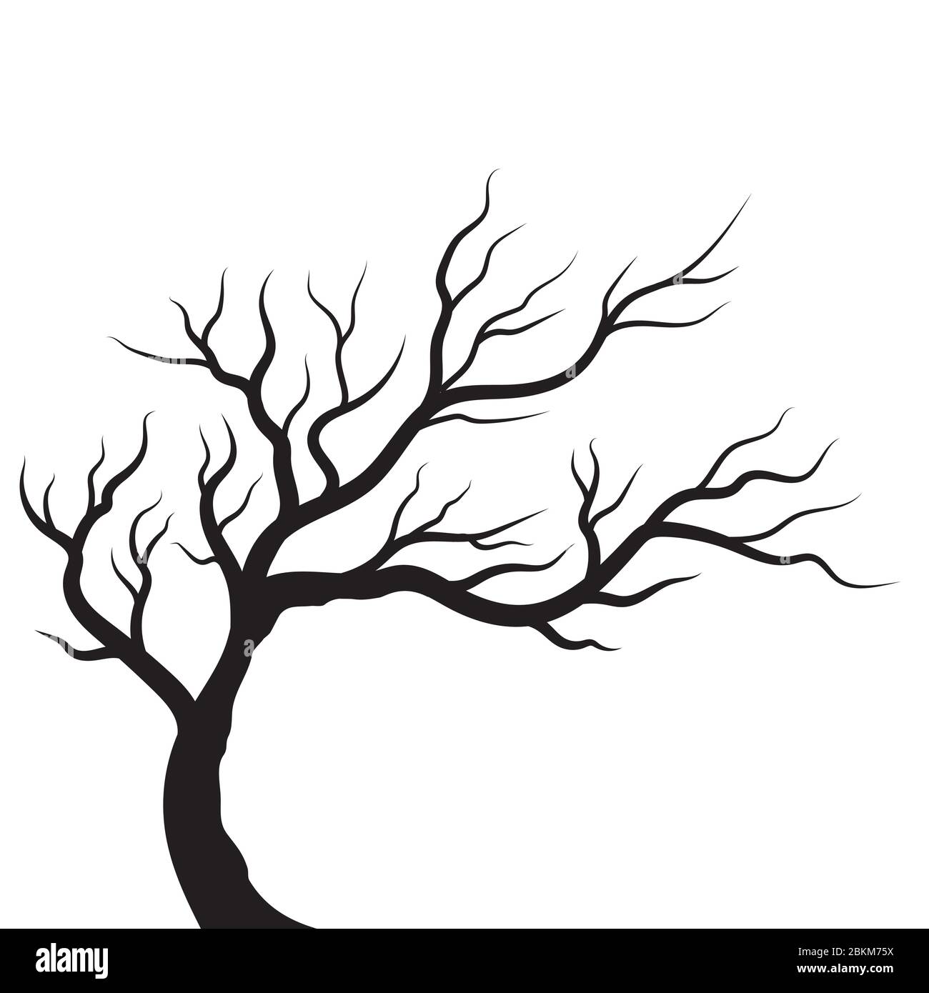 tree branch vector illustration design template Stock Vector Image