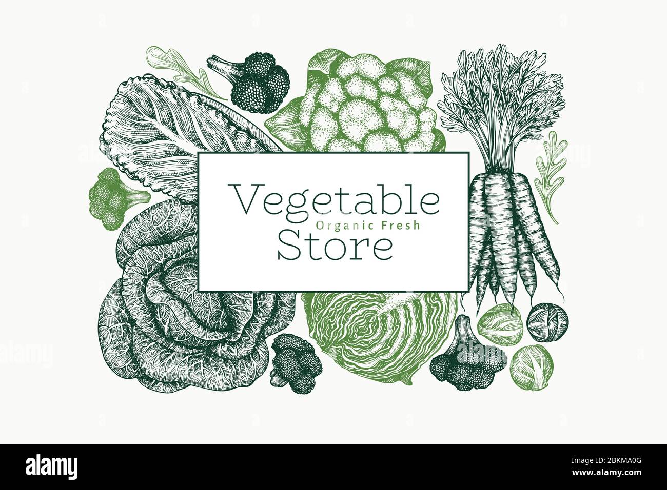 Hand drawn sketch vegetables design. Organic fresh food vector banner ...