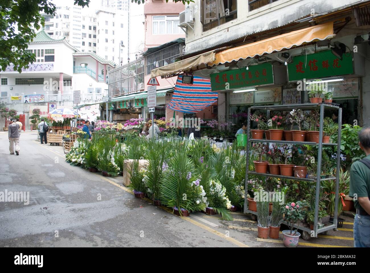 Flower Market in Hong Kong Stock Photo Alamy