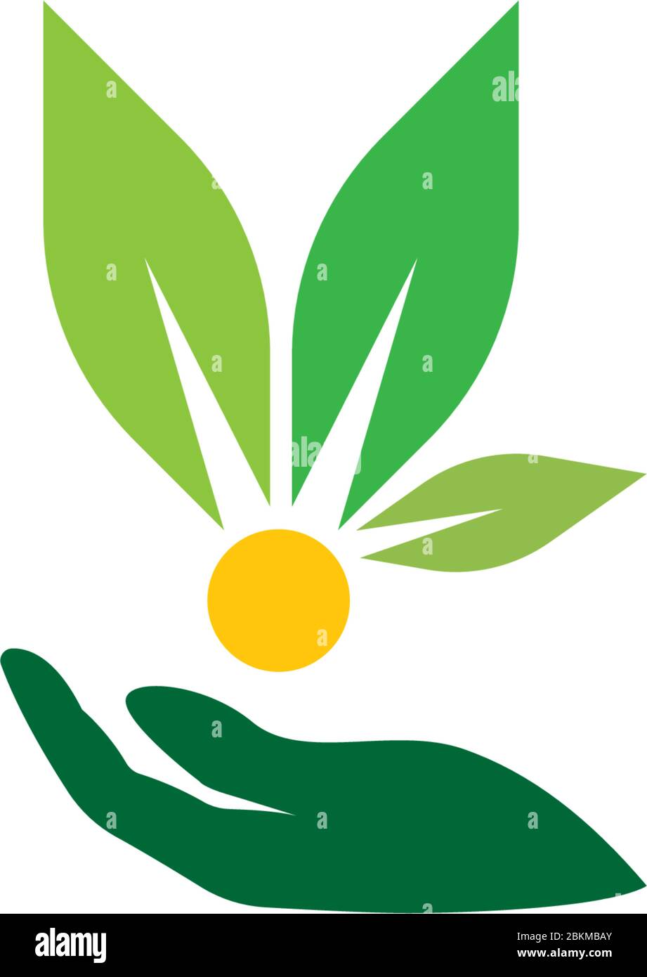 Hand green leaf logo icon illustration Stock Vector Image & Art - Alamy