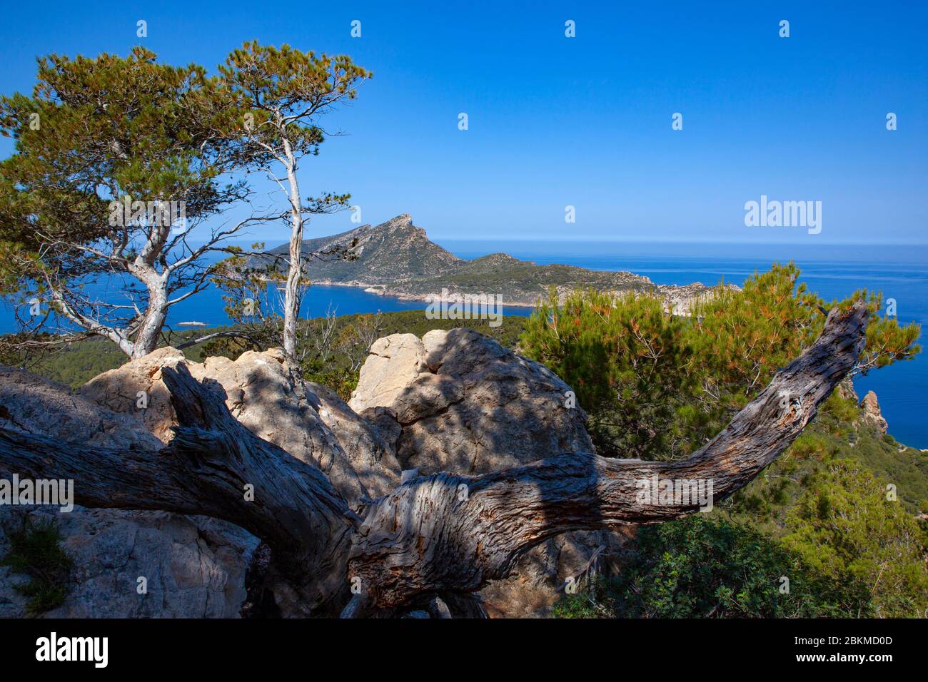 View of Dragonera from Reserva Biológica de la Trapa, Sant Elm, Mallorca, Balearic Islands, Spain Stock Photo
