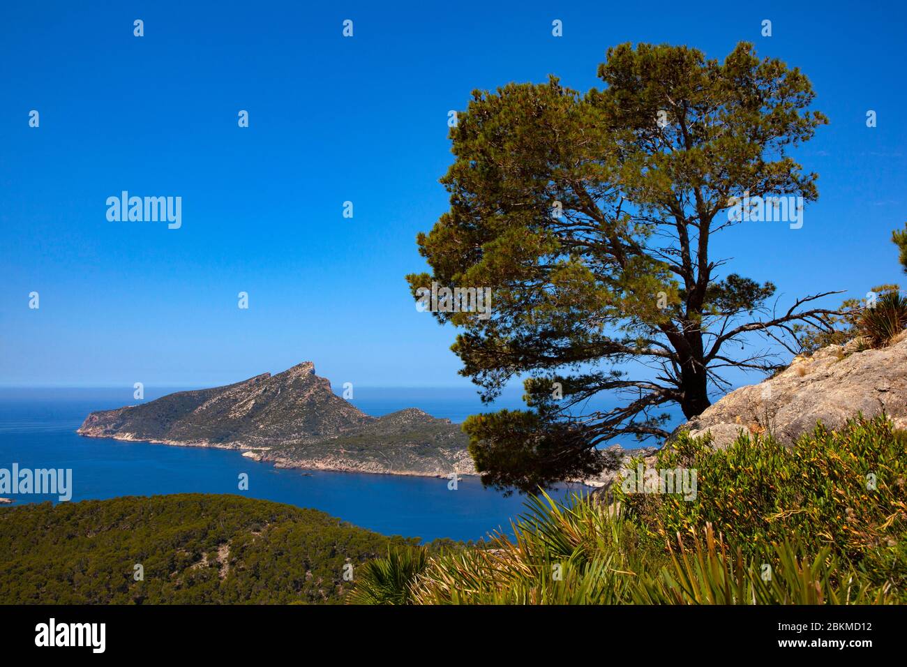 View of Dragonera from Reserva Biológica de la Trapa, Sant Elm, Mallorca, Balearic Islands, Spain Stock Photo