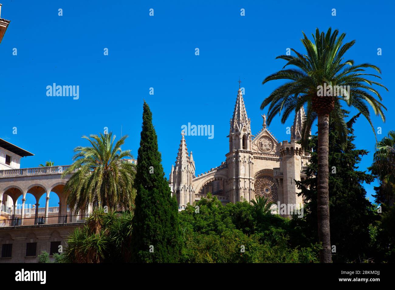 Cathedral, Palma de Mallorca, Balearic Islands, Spain Stock Photo