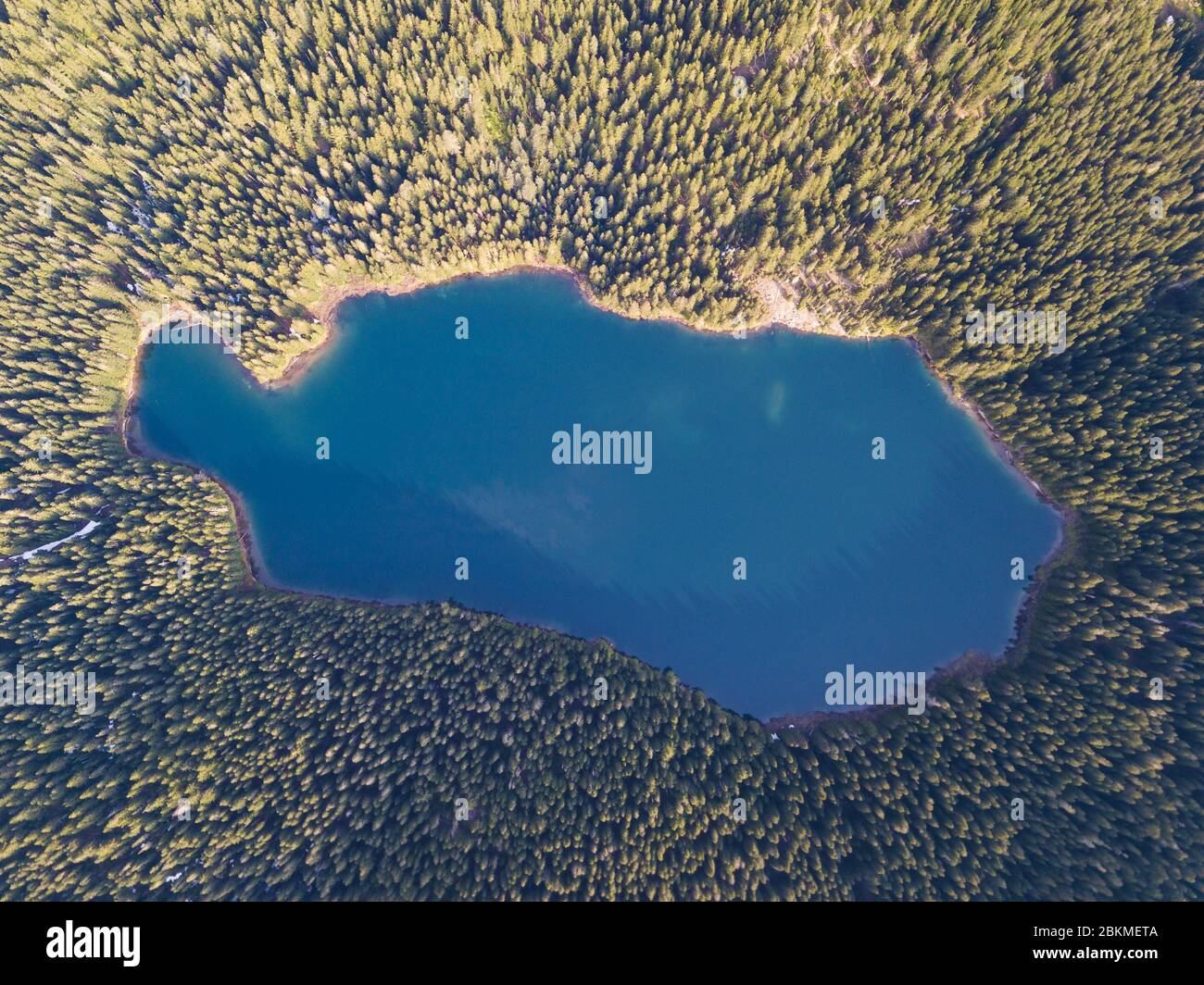Aerial view of a forest lake. Aerial view of blue lake and green ...