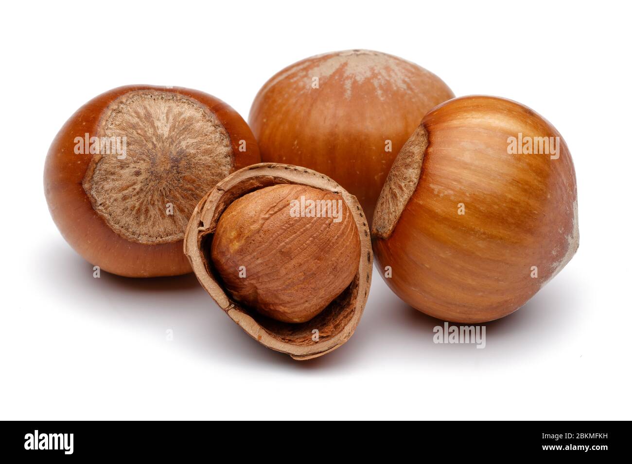 Fresh hazelnut isolated on white background Stock Photo