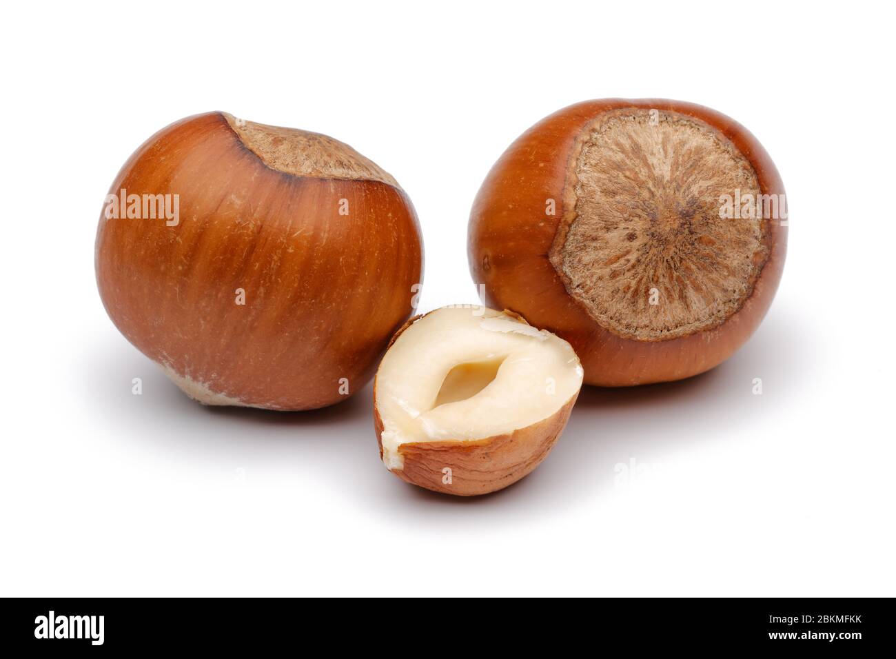 Fresh hazelnut isolated on white background Stock Photo