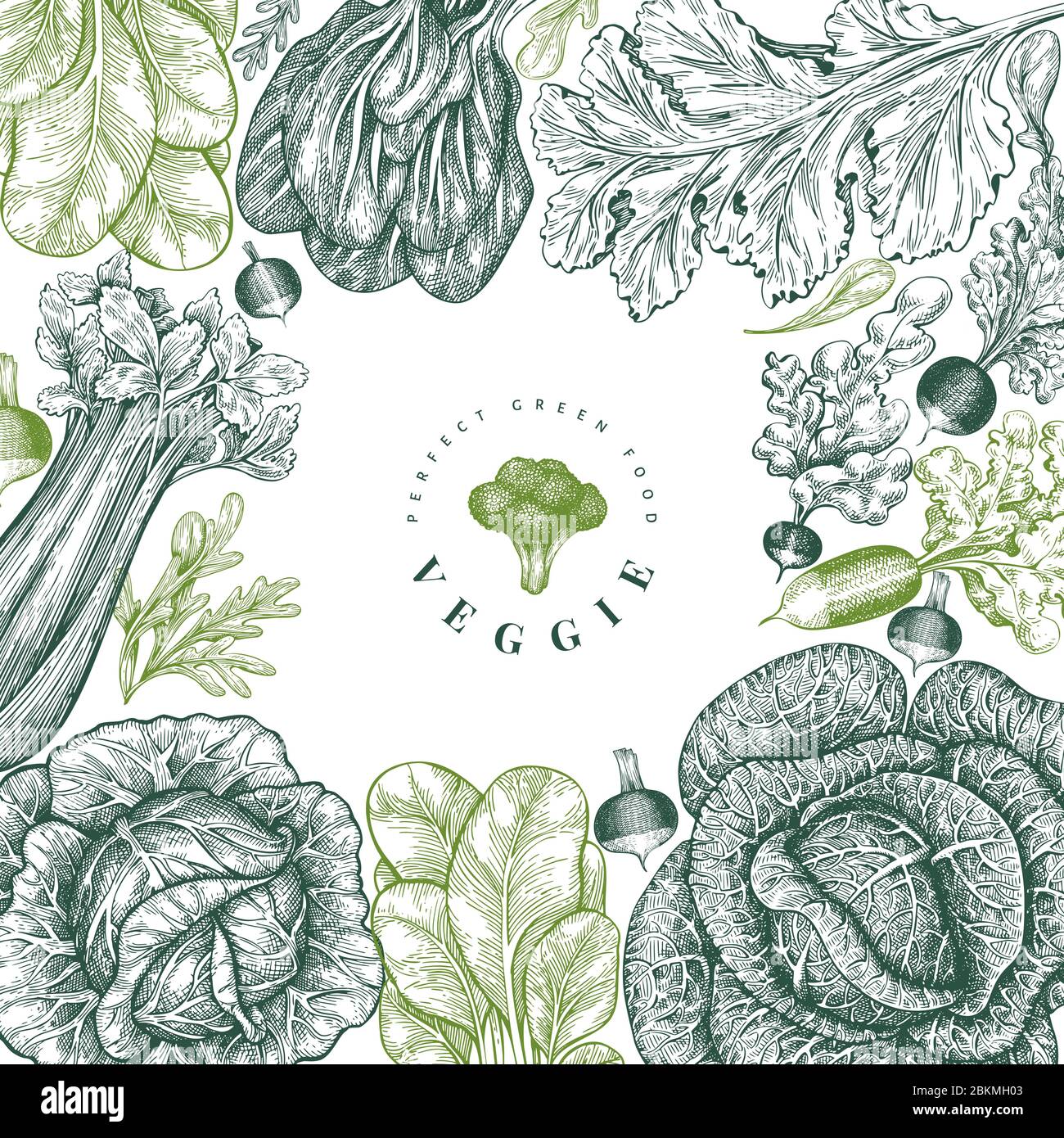 Hand drawn sketch vegetables design. Organic fresh food vector banner ...