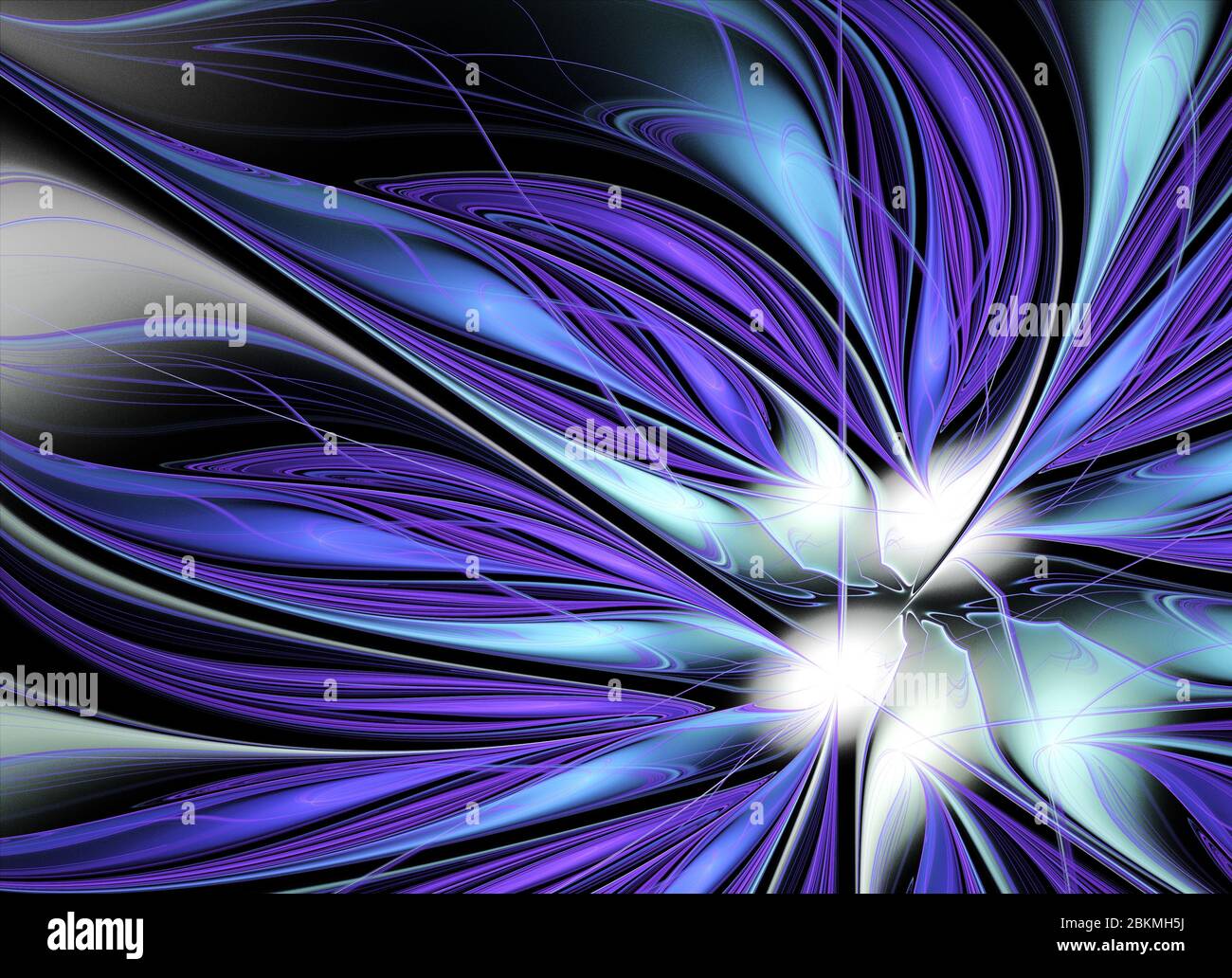 Vibrant flower frame motion hi-res stock photography and images - Alamy