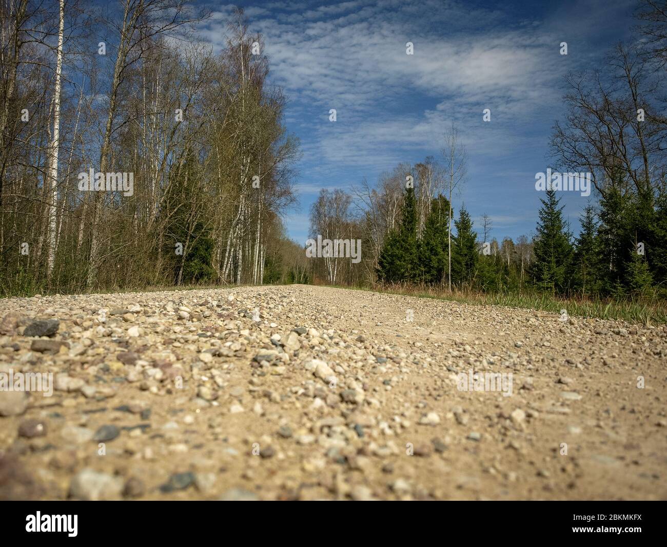 Spring Landscape With A Simple Country Road The First Bright Spring