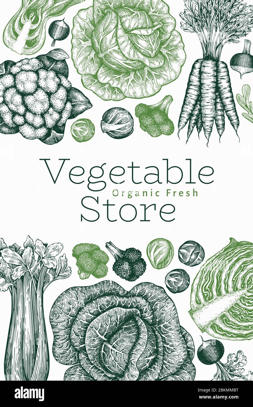 Hand drawn sketch vegetables design. Organic fresh food vector banner ...