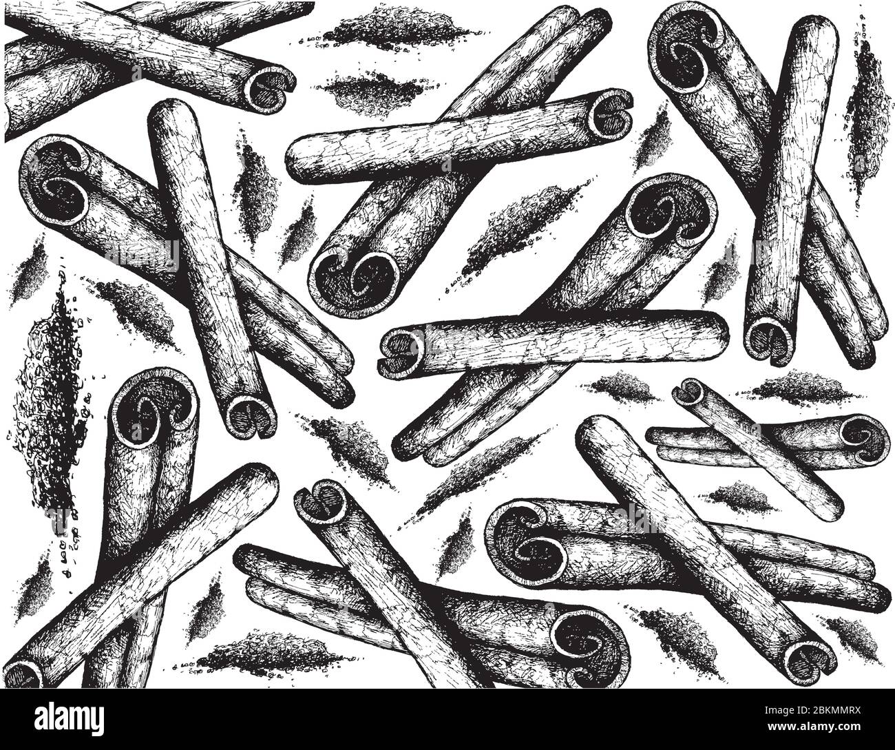 Herbal Plants, Hand Drawn Illustration Background of Dried Cinnamon Sticks Used for Seasoning in Cooking. Stock Vector