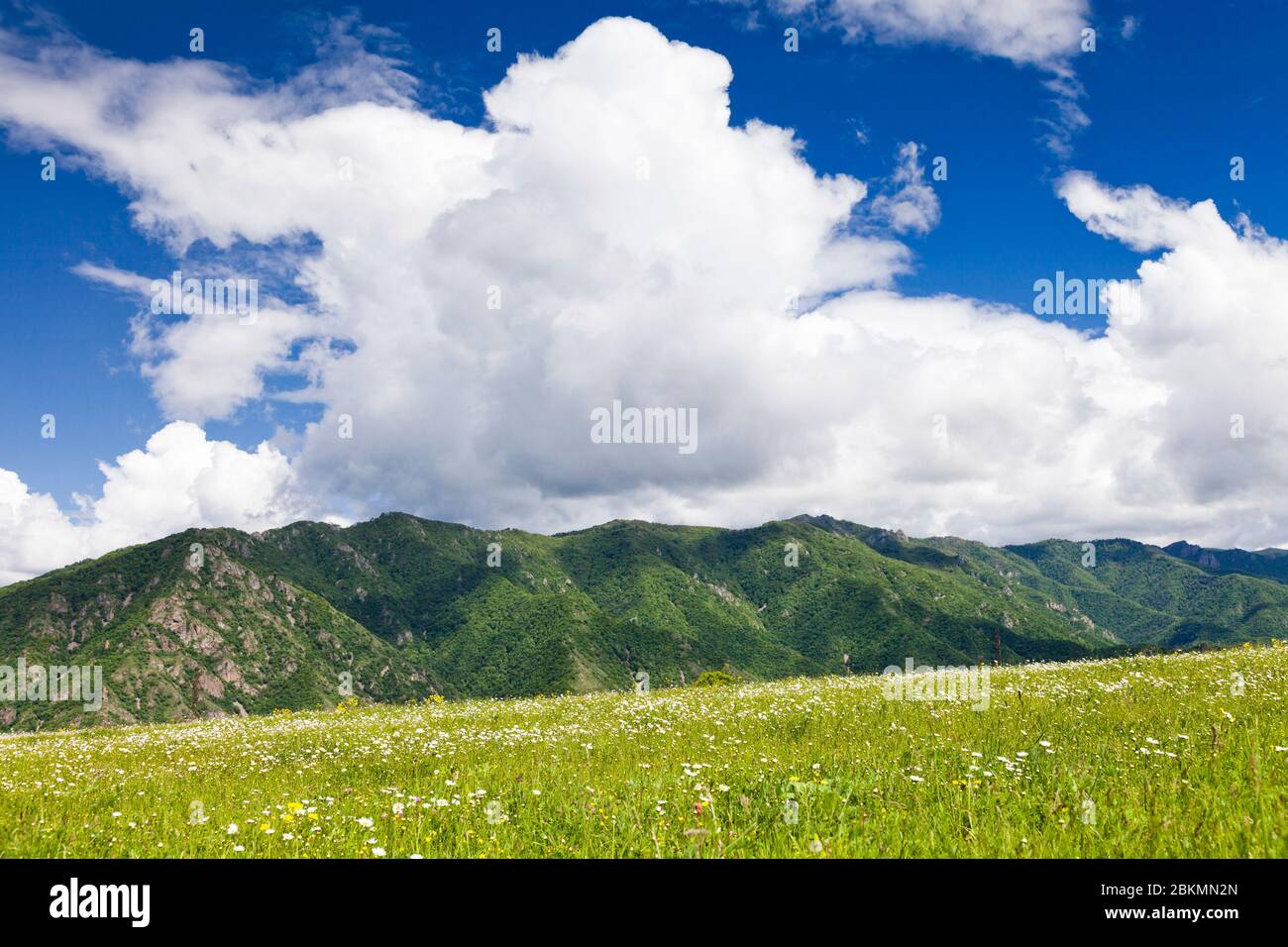 New green plateau of Debed canyon, near Odzun Church, Odzun, Lori Province, Armenia, Caucasus, Asia Stock Photo