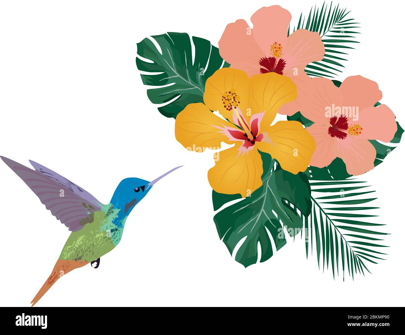 vector illustration of a tropical background. Hummingbird, tropical flowers, palm leaves. Wall decal, decor idea. Stock Vector