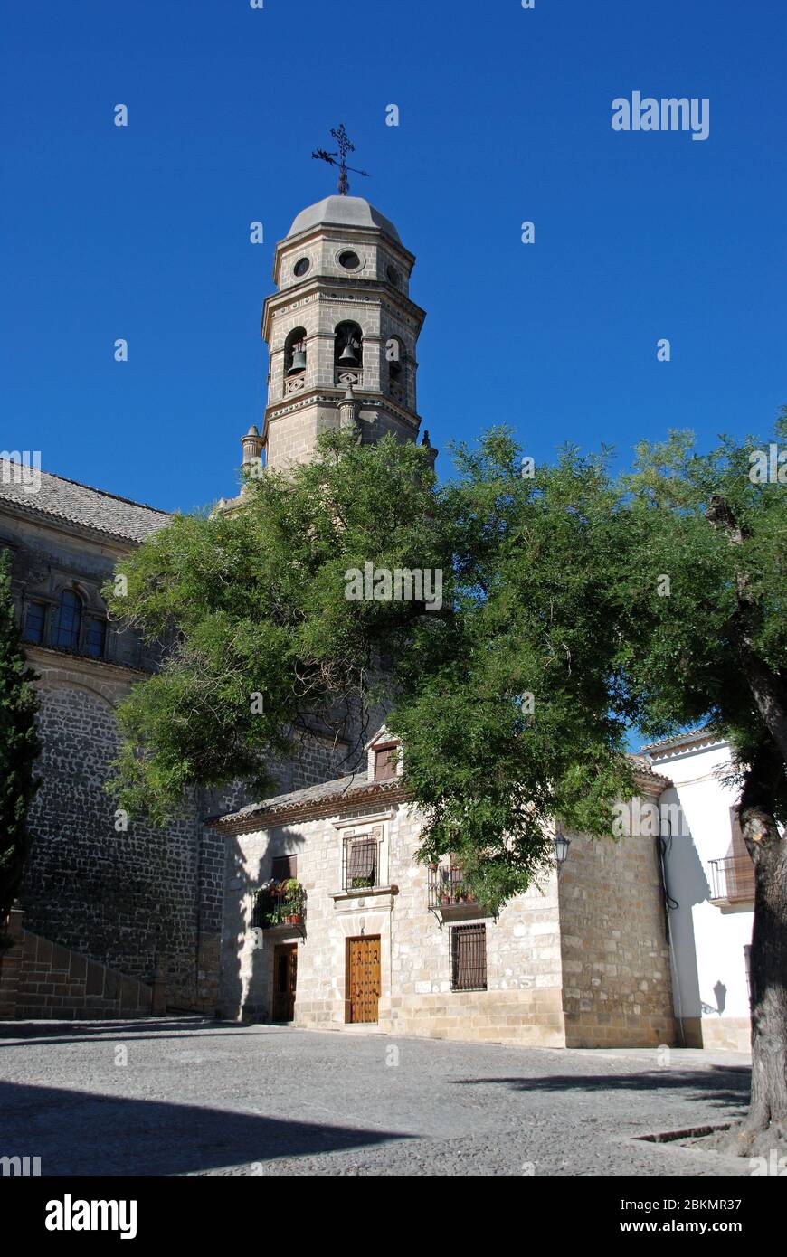 View of the Cathedral in the Santa Maria Plaza, Baeza, Jaen Province, Andalucia, Spain, Western Europe Stock Photo