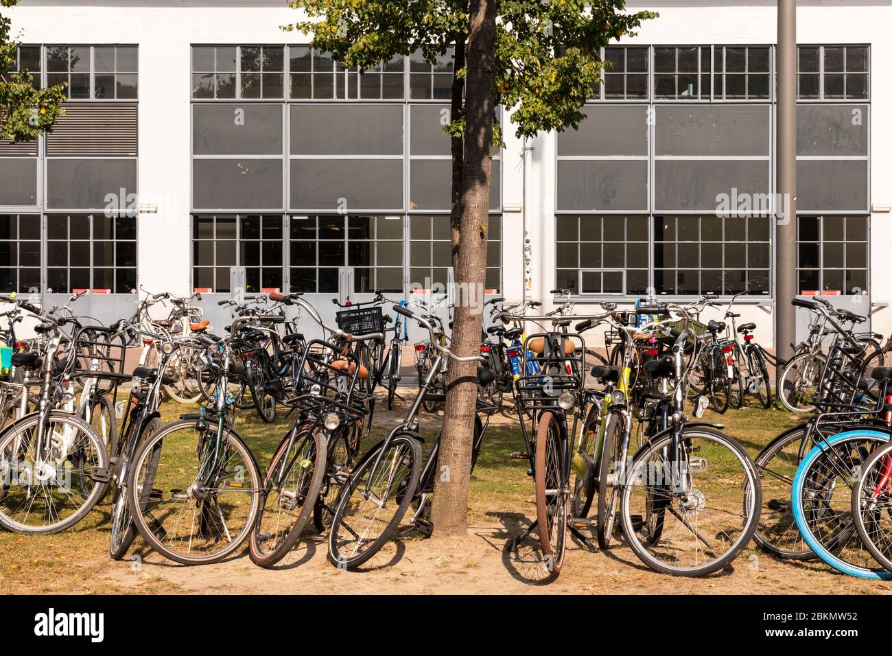 Eindhoven, The Netherlands, August 28, 2019. Lots of parked bicycles on the grass in front of the Klokgebouw on Strijp S in Brabant on a sunny day Stock Photo