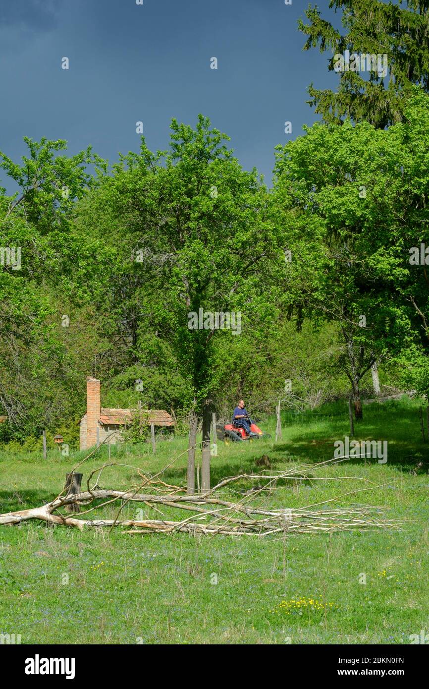 male cutting grass using ride on mower behind dead tree on the ground under dark clouds of approaching storm zala county hungary Stock Photo