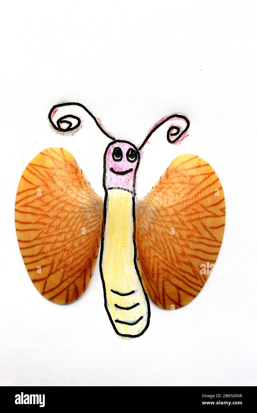 Picture of a cartoon butterfly with a yellow body, a pink head and wings made from real sea striped shells. Stock Photo