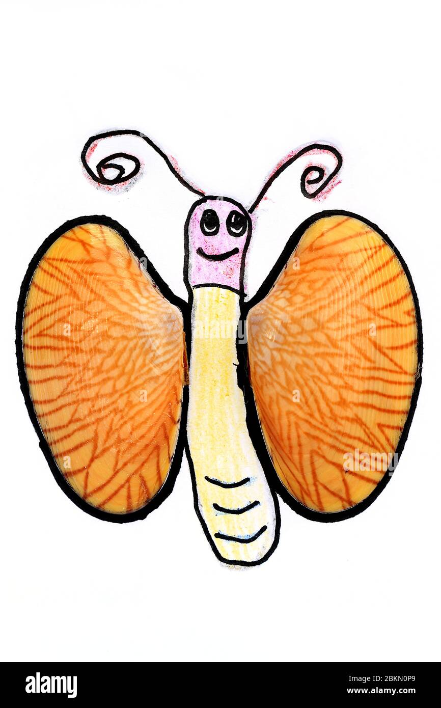 Picture of a cartoon butterfly with a yellow body, a pink head and wings made from real sea striped shells. Stock Photo