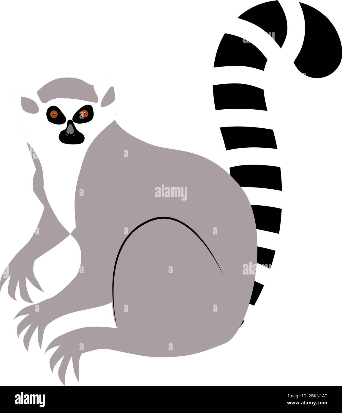 Lemur. Vector illustration of an animal. Flat style. Isolated on white ...