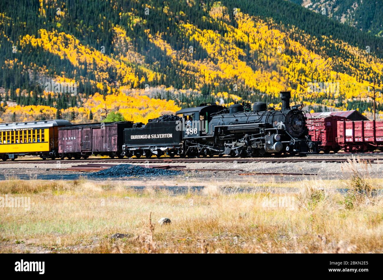 No. 486 a K-36 class narrow gauge locomotive approaching Silverton station with yellow aspen foliage in the background. Stock Photo