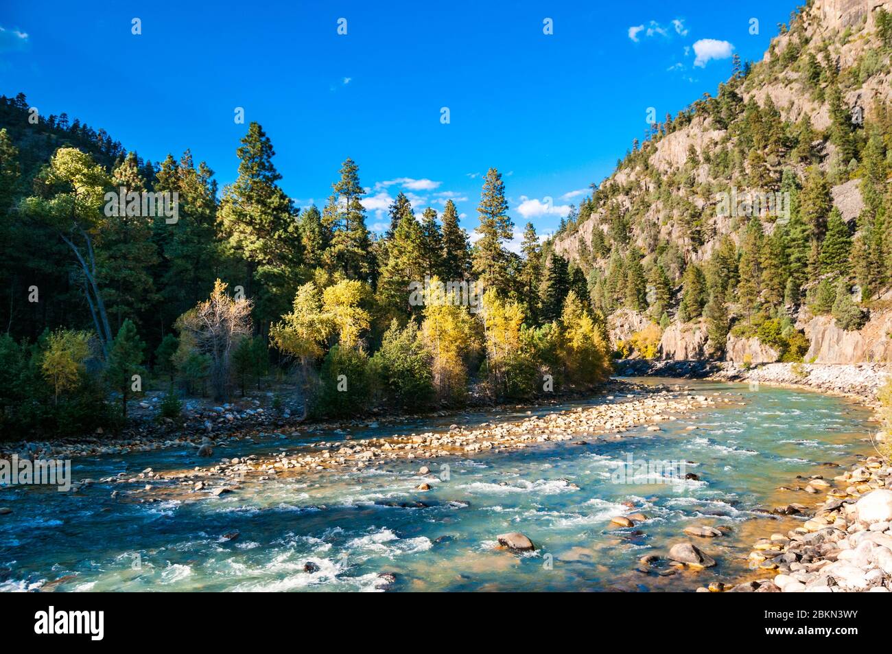 Animas River as seen from the Durango & Silverton Narrow Gauge Railroad. Colorado, USA. Stock Photo