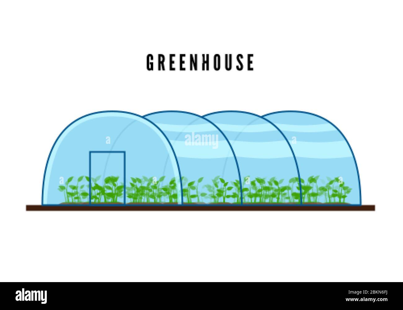 Greenhouse with green plants inside in flat style. Vector illustration